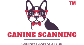 Canine Scanning Logo